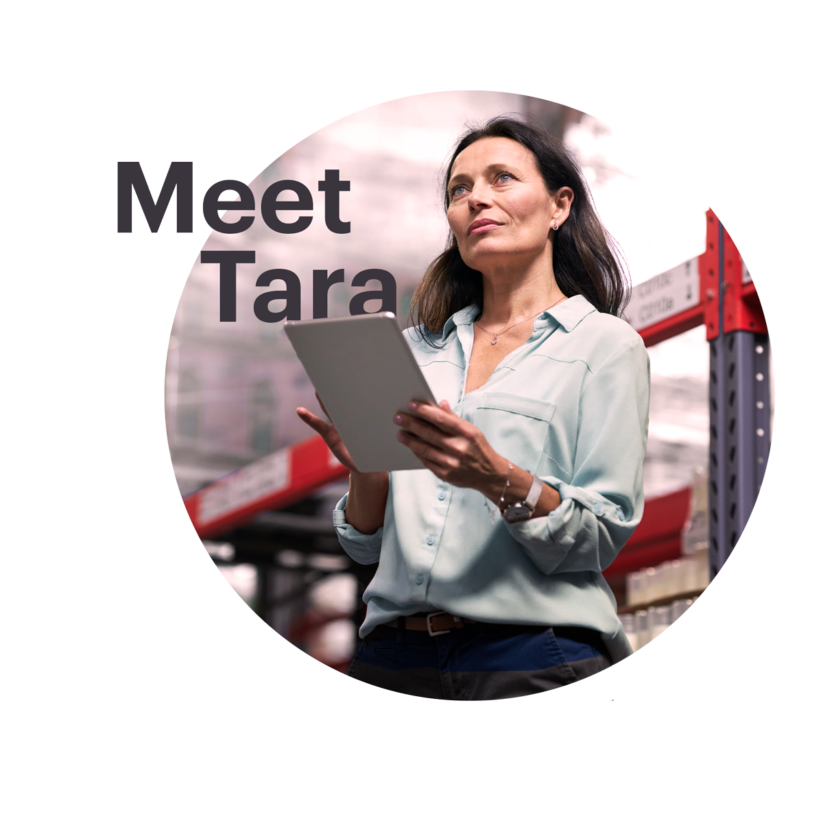 Tara-wholesaler.png